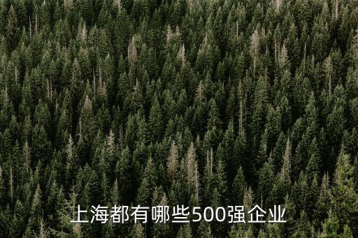 上海市納稅100強(qiáng)企業(yè)，上海都有哪些500強(qiáng)企業(yè)