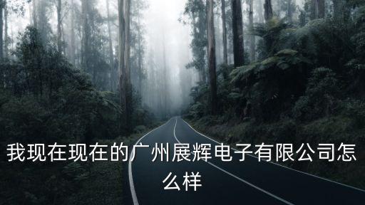 廣州市展輝電子公司，番禺展輝電子廠 怎么樣有誰在那做過