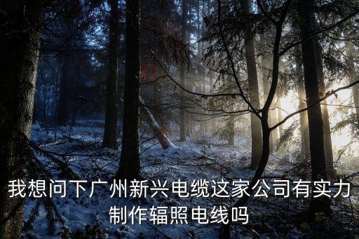 我想問下廣州新興電纜這家公司有實力制作輻照電線嗎