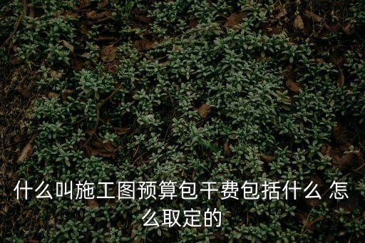 什么叫施工圖預算包干費包括什么 怎么取定的