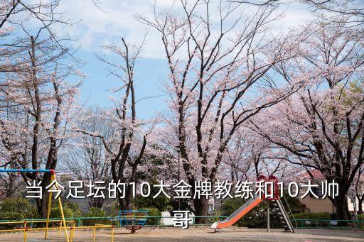 足球教練排名，當今足壇的10大金牌教練和10大帥哥