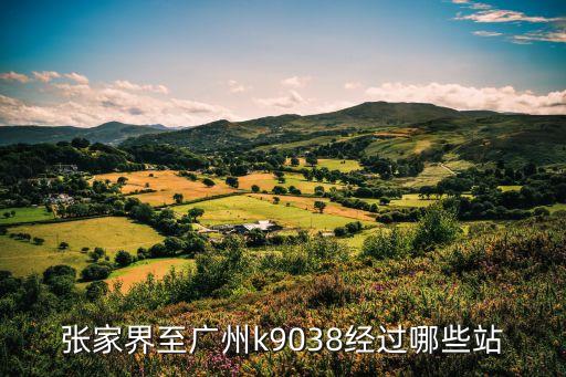 張家界到廣州的班次，張家界到廣州客車
