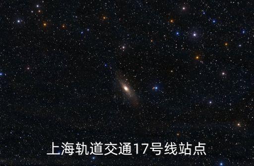 上海市蟠龍路17號線是哪一站，上海軌道交通17號線站點