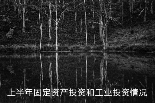 上半年固定資產投資和工業投資情況