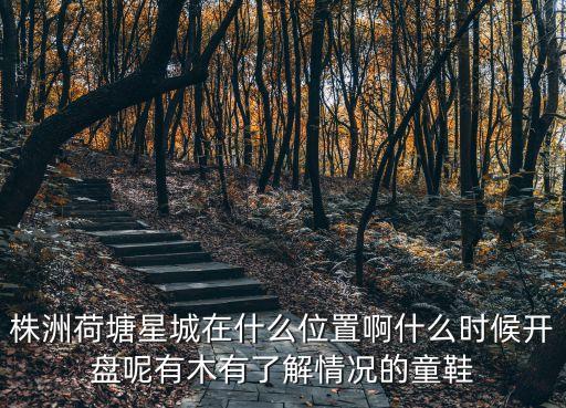 株洲荷塘星城在什么位置啊什么時(shí)候開盤呢有木有了解情況的童鞋