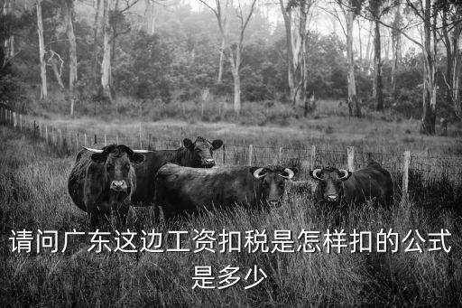 廣州月薪2萬7扣稅，工資2萬元要交多少稅