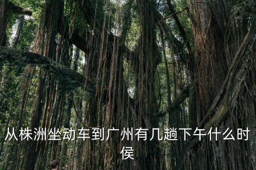從株洲坐動車到廣州有幾趟下午什么時侯