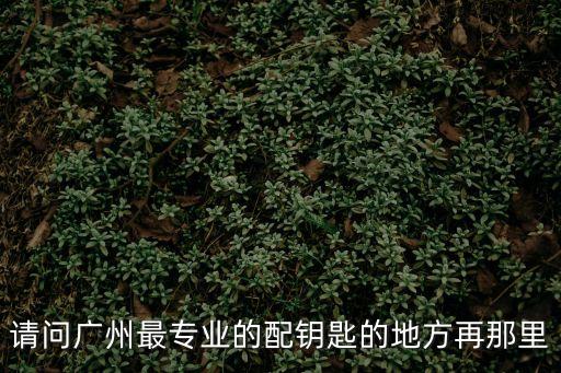 廣州配汽車鑰匙培訓機構哪里有，我想學配汽車芯片鑰匙那里培訓