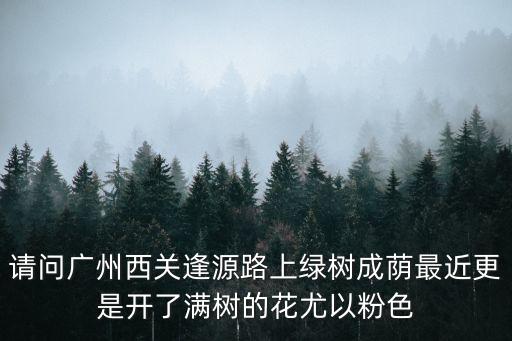 請(qǐng)問(wèn)廣州西關(guān)逢源路上綠樹成蔭最近更是開了滿樹的花尤以粉色