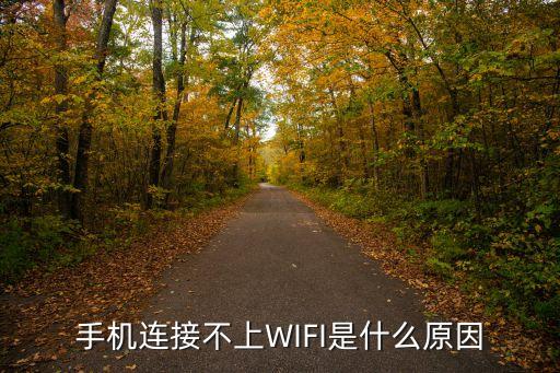 手機為什么連不上wifi，手機連接不上WIFI是什么原因
