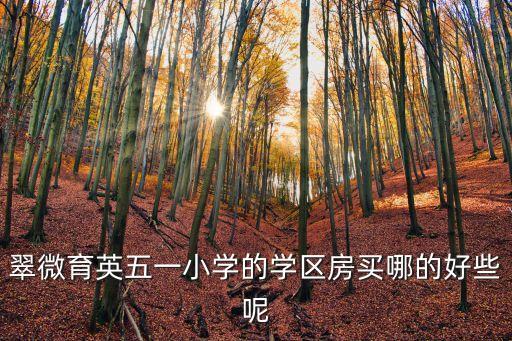 廣州黃花崗最好的學區(qū)房，廣州哪邊樓盤的學區(qū)房價格比較低最好是重點學校