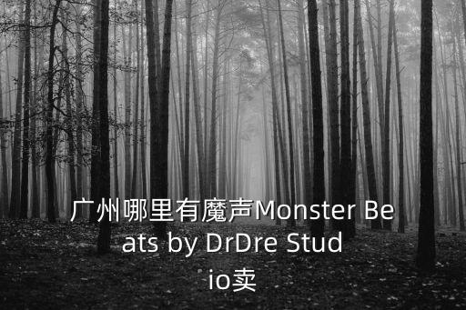 美國魔聲線材廣州總代，beats魔音中國總代理有哪些