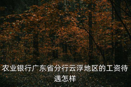 農業銀行廣東省分行云浮地區的工資待遇怎樣