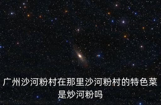 廣州沙河粉村在那里沙河粉村的特色菜是炒河粉嗎