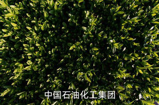 中國(guó)石油化工集團(tuán)
