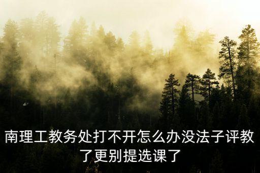 南理工教務(wù)處打不開(kāi)怎么辦沒(méi)法子評(píng)教了更別提選課了