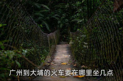 廣州到大埔的火車要在哪里坐幾點