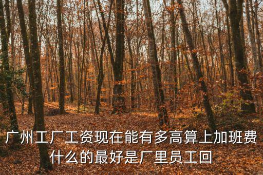 廣州工廠工資現在能有多高算上加班費什么的最好是廠里員工回