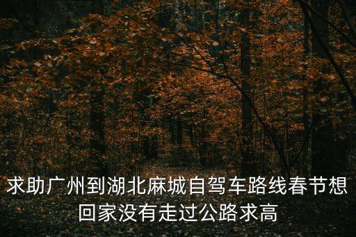 求助廣州到湖北麻城自駕車路線春節想回家沒有走過公路求高