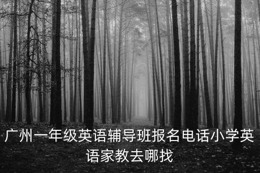廣州一年級英語輔導(dǎo)班報名電話小學(xué)英語家教去哪找