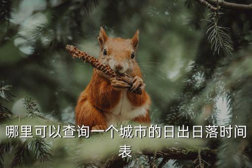 哪里可以查詢一個城市的日出日落時間表