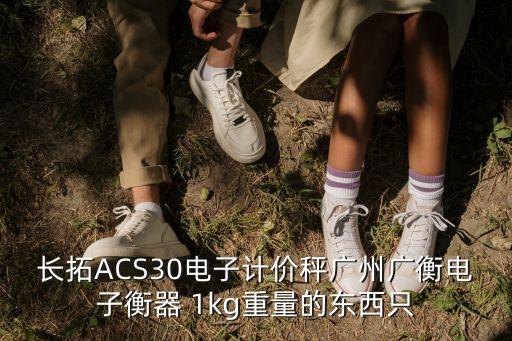 長拓ACS30電子計價秤廣州廣衡電子衡器 1kg重量的東西只
