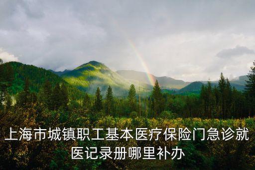 上海市城鎮職工基本醫療保險門急診就醫記錄冊哪里補辦