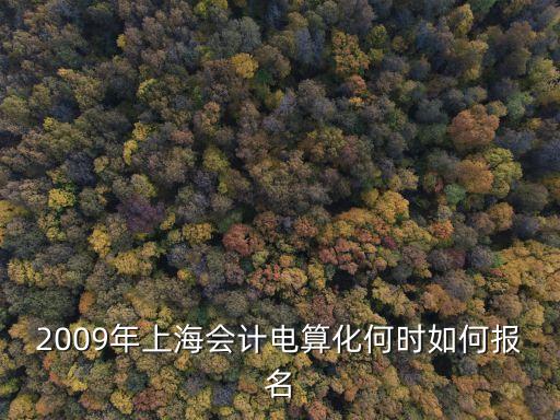 2009年上海會(huì)計(jì)電算化何時(shí)如何報(bào)名