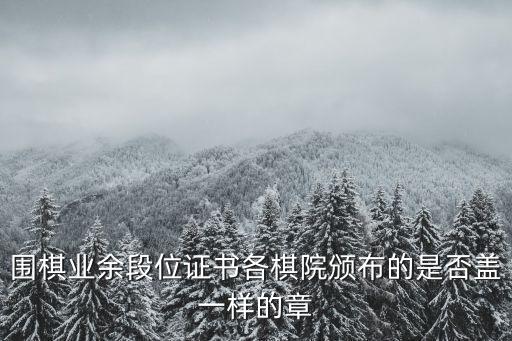 上海市圍棋級位證書是由哪里頒發，怎么拿到圍棋二級運動員證