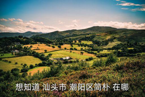 廣州汕頭市簡樸村，汕頭市潮南區成田鎮簡樸村的郵編號碼是多少