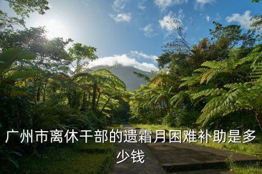 廣州老干局的待遇，我市副局級以上干部的退休手續如何辦理