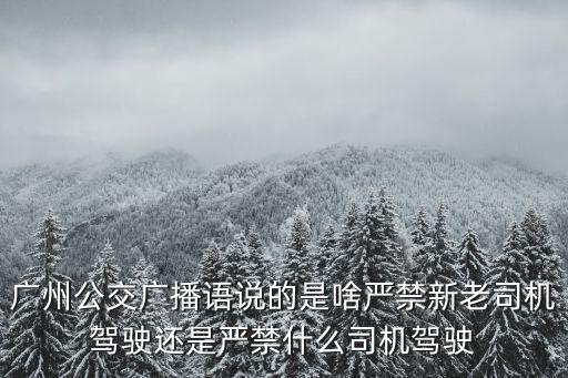 廣州交通電臺大巴違規上下客，廣州違反公交被扣分了錢在哪里交