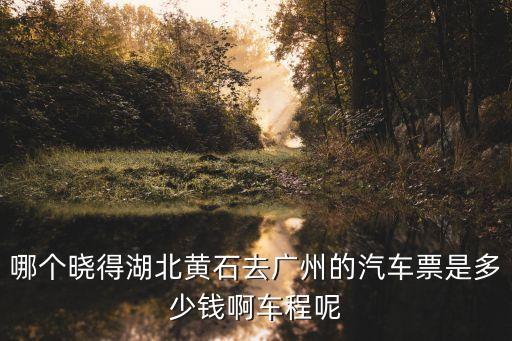 黃州到廣州客車多少錢，哪個曉得湖北黃石去廣州的汽車票是多少錢啊車程呢