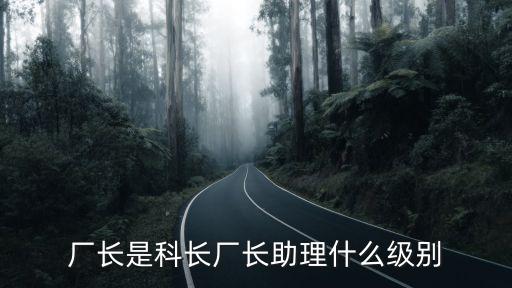 廠長(zhǎng)是科長(zhǎng)廠長(zhǎng)助理什么級(jí)別