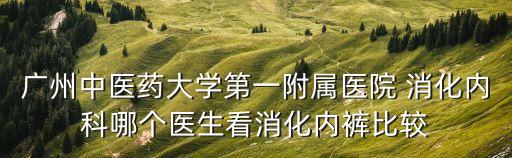 郭慶峰廣州中醫藥大學，廣州中醫藥大學第一附屬醫院 消化內科哪個醫生看消化內褲比較