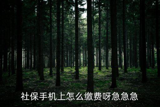 怎么用手機交廣州社保，社保卡在手機上面怎么交