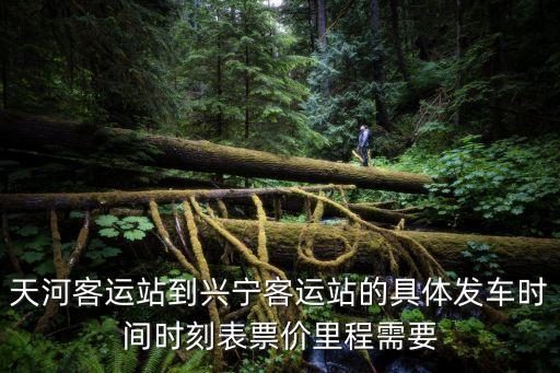 廣州回興寧的客車時間表，天河客運站到興寧黃槐的班次有哪些