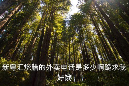 新粵匯燒臘的外賣電話是多少啊跪求我好餓