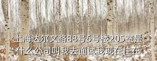 上海達爾文路88號6號樓205室是什么公司叫我去面試我現在住在