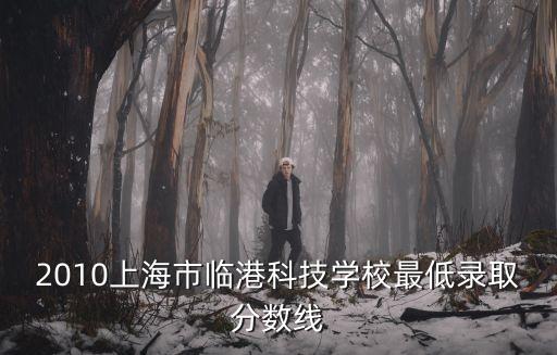 2010上海市臨港科技學(xué)校最低錄取分?jǐn)?shù)線