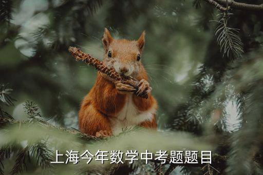 中考試卷上海市2018，初三上海數學物理化學的 中考題 附加答案