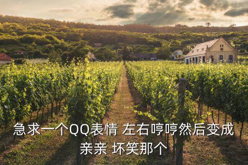 急求一個QQ表情 左右哼哼然后變成親親 壞笑那個