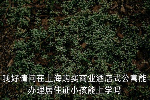 我好請問在上海購買商業(yè)酒店式公寓能辦理居住證小孩能上學嗎