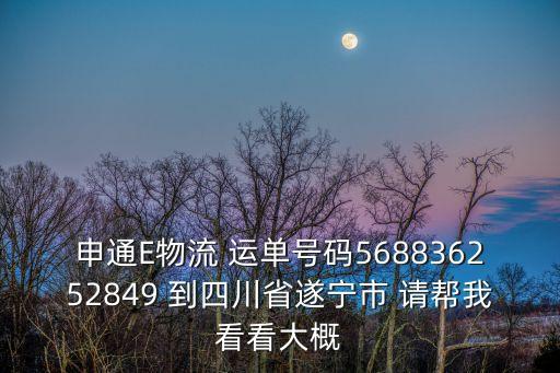 申通E物流 運單號碼568836252849 到四川省遂寧市 請幫我看看大概