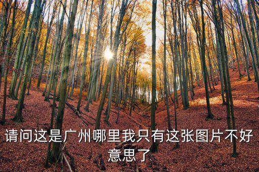 請問這是廣州哪里我只有這張圖片不好意思了