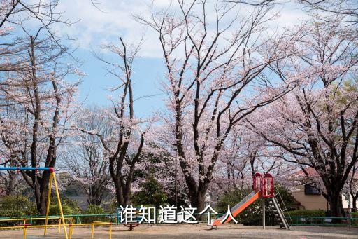 廣州東莞女孩千里來達州尋男網友，能租個女友回家過年嗎