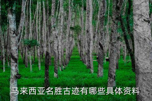 馬來西亞著名景點，馬來西亞名勝古跡有哪些具體資料