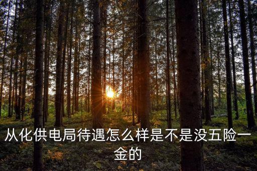 廣州供電所待遇怎么樣，廣東省內 供電局普通員工工資多少
