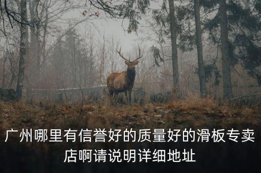 廣州同欣康體設備廠，廣州哪里有信譽好的質量好的滑板專賣店啊請說明詳細地址