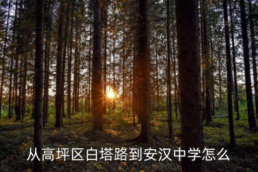 從高坪區白塔路到安漢中學怎么